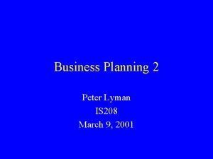 Business Planning 2 Peter Lyman IS 208 March