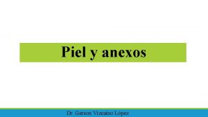 Piel y anexos Dr Gerson Vizcano Lpez Aparato