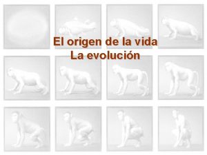 El origen de la vida La evolucin Cmo