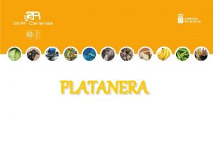 PLATANERA INTRODUCCIN El Pltano de Canarias es el