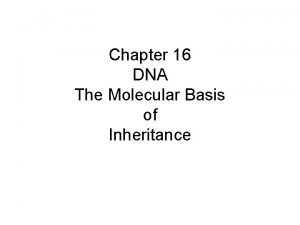Chapter 16 DNA The Molecular Basis of Inheritance