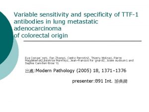 Variable sensitivity and specificity of TTF1 antibodies in