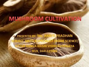 MUSHROOM CULTIVATION PRESENTED BY Ms AKRITI PRADHAN SUBJECT