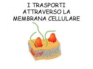 I TRASPORTI ATTRAVERSO LA MEMBRANA CELLULARE TRASPORTI PASSIVI