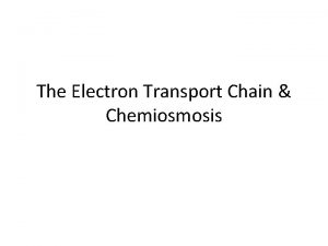 The Electron Transport Chain Chemiosmosis Aerobic Respiration 1