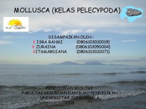 MOLLUSCA KELAS PELECYPODA DISAMPAIKAN OLEH ISRA RAHMI 0806103010019