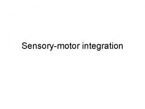 Sensorymotor integration Leggero contatto e stabilizzazione posturale Leggera