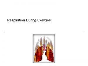 Respiration During Exercise Terms Ventilation Respiration Pulmonary respiration