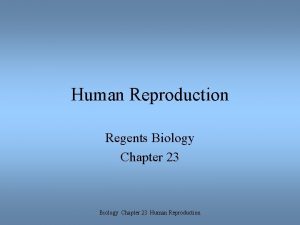 Human Reproduction Regents Biology Chapter 23 Human Reproduction