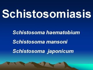 Schistosomiasis Schistosoma haematobium Schistosoma mansoni Schistosoma japonicum A