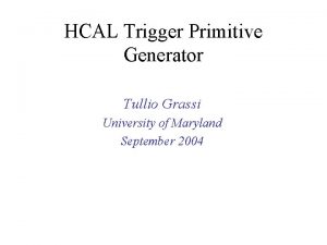 HCAL Trigger Primitive Generator Tullio Grassi University of