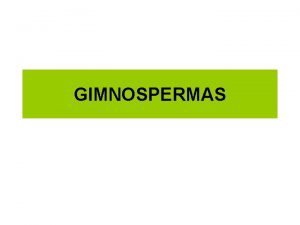 GIMNOSPERMAS Definio As gimnospermas do grego Gymnos nu