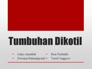 Tumbuhan Dikotil Azka Annafiah Deviana Rahmajayanti Riza Nurlailla