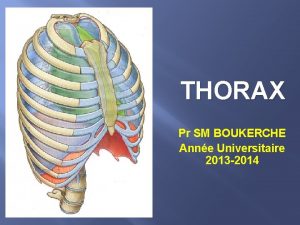 THORAX Pr SM BOUKERCHE Anne Universitaire 2013 2014