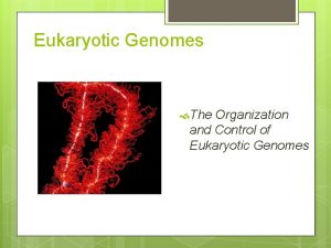 Eukaryotic Genomes The Organization and Control of Eukaryotic