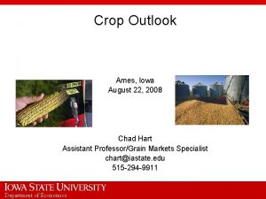 Crop Outlook Ames Iowa August 22 2008 Chad