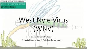 West Nyle Virus WNV Dr ssa Barbara Pellizzari