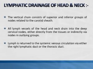 LYMPHATIC DRAINAGE OF HEAD NECK The vertical chain