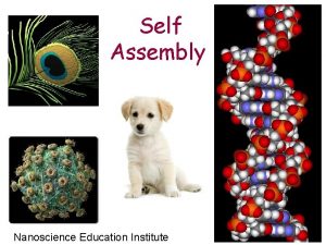 Self Assembly Nanoscience Education Institute Making Nanostructures Nanomanufacturing