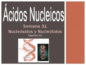 Semana 31 Nuclesidos y Nucletidos Capitulo 21 Los