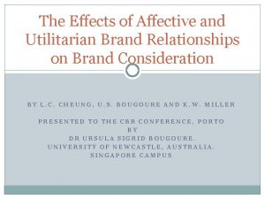 The Effects of Affective and Utilitarian Brand Relationships