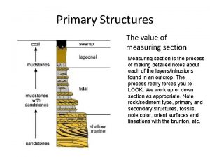 Primary Structures The value of measuring section Measuring