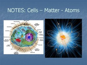 Are cells made up of atoms