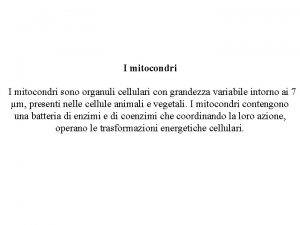 I mitocondri sono organuli cellulari con grandezza variabile