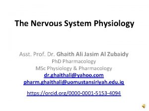 The Nervous System Physiology Asst Prof Dr Ghaith
