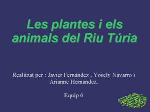 Les plantes i els animals del Riu Tria