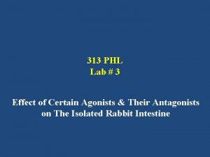 313 PHL Lab 3 Effect of Certain Agonists