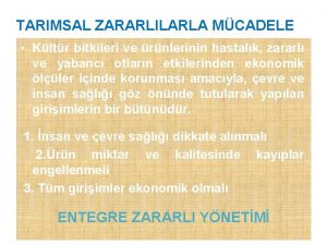 TARIMSAL ZARARLILARLA MCADELE Kltr bitkileri ve rnlerinin hastalk