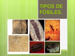 TIPOS DE FSILES En general los fsiles solo