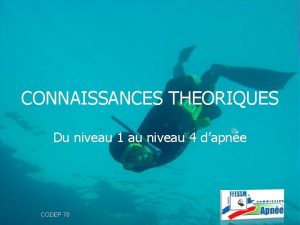 CONNAISSANCES THEORIQUES Du niveau 1 au niveau 4