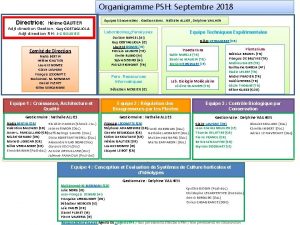 Organigramme PSH Septembre 2018 Directrice Hlne GAUTIER Adjt