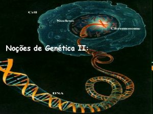 Noes de Gentica II As leis de Mendel