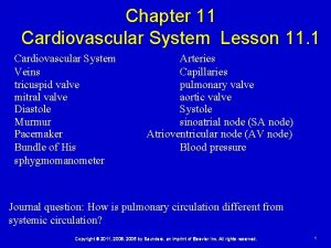 Lesson 11 cardiovascular system