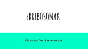 ERRIBOSOMAK Aizea Arrien Barrenetxea aurkibidea ZER DIRA ETA