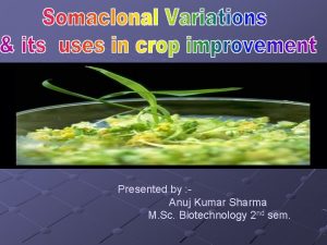 Presented by Anuj Kumar Sharma M Sc Biotechnology