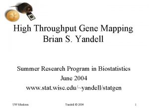 High Throughput Gene Mapping Brian S Yandell Summer