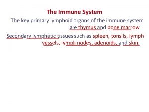 The Immune System The key primary lymphoid organs