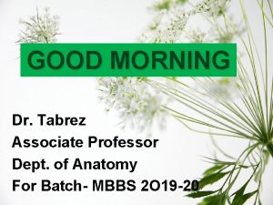 GOOD MORNING Dr Tabrez Associate Professor Dept of