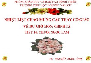 PHNG GIO DC V O TO NG TRIU