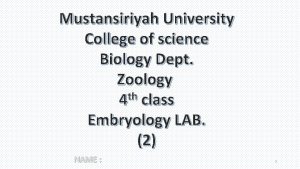 Mustansiriyah University College of science Biology Dept Zoology