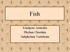 Fish subphylum