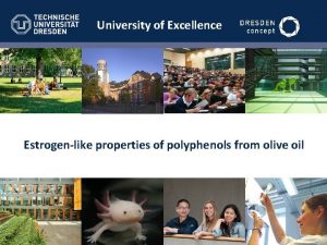 University of Excellence Estrogenlike properties of polyphenols from