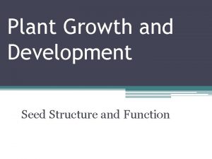 Plant Growth and Development Seed Structure and Function