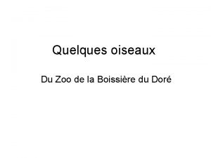 Quelques oiseaux Du Zoo de la Boissire du