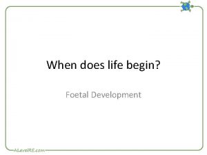 When does life begin Foetal Development When does