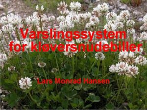 Varslingssystem for klversnudebiller Lars Monrad Hansen Varsling mod